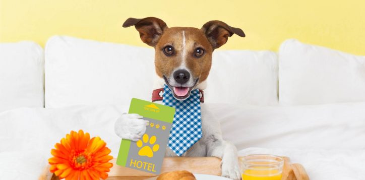 dog-hotel-policy1-2